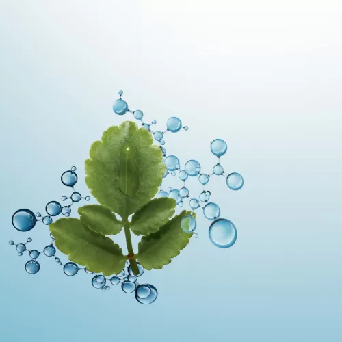 Clarins Tagespflege^Hydra-Essentiel [Ha ] Creme Desalterante - Feuchtigkeitscreme Fur Normale Bis Trockene Haut