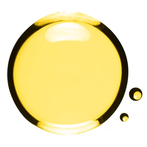 Clarins Duschgele & Pflanzenbäder^Schwereloses, Nahrendes Haarpflege-Ol